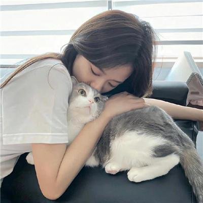 军犬麦克斯2:白宫英雄